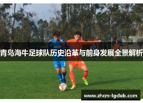 青岛海牛足球队历史沿革与前身发展全景解析