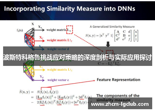 波斯特科格鲁挑战应对策略的深度剖析与实际应用探讨 波斯特科格鲁挑战应对策略的深度剖析与实际应用探讨